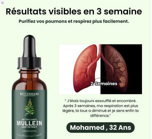 Molène : purifiez vos poumons et respirez facilement