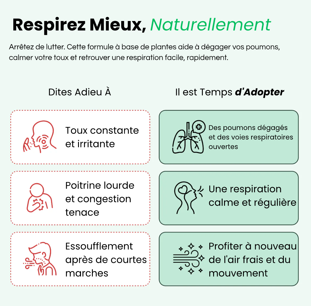 Molène : purifiez vos poumons et respirez facilement